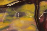 Polished Mookaite Jasper Slab - Australia #141546-1